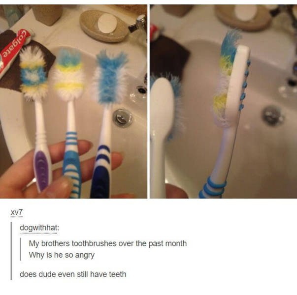 Content Image
