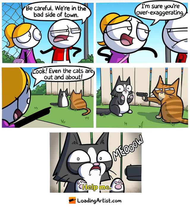 Funny Picdump
