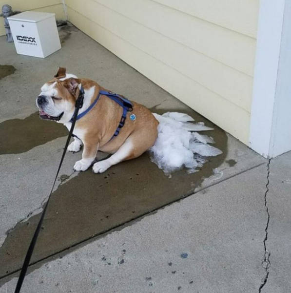 Morning Picdump