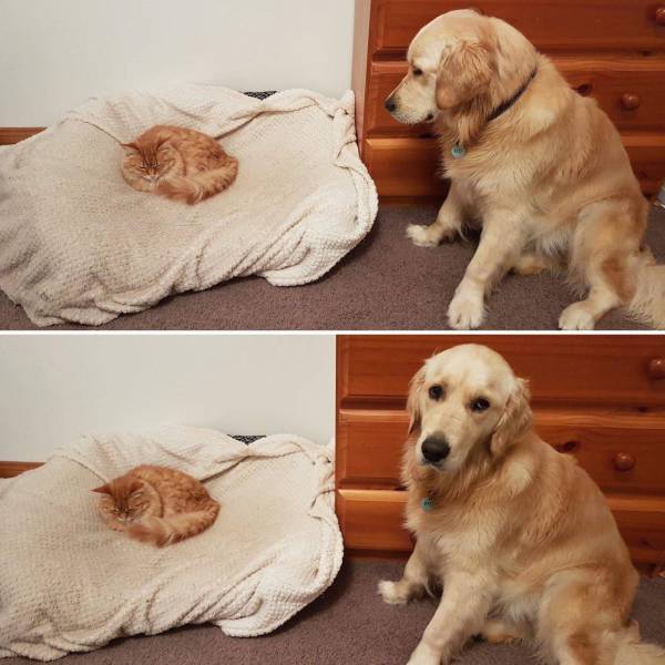 Daily Picdump