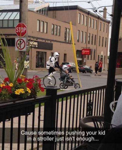 Daily Picdump