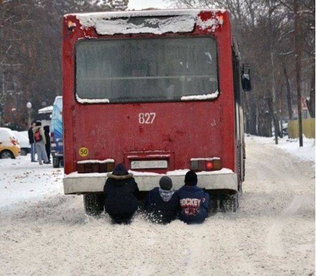 Daily Picdump
