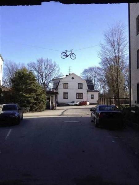 Content Image