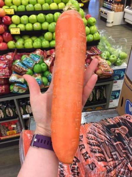 Daily Picdump [WEEKEND EDITION]