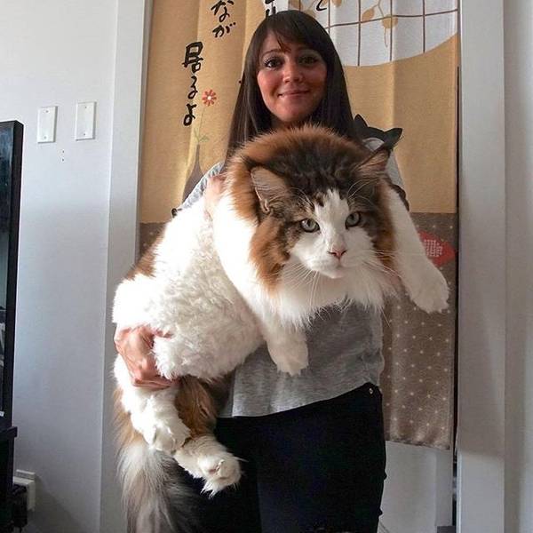 Daily Picdump [WEEKEND EDITION]