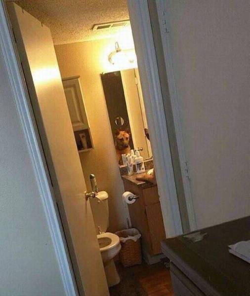 Content Image