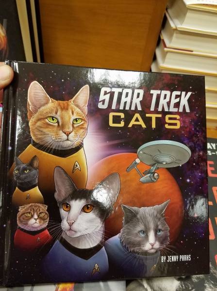 Content Image