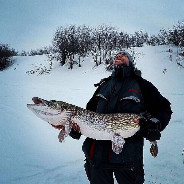 Daily Picdump