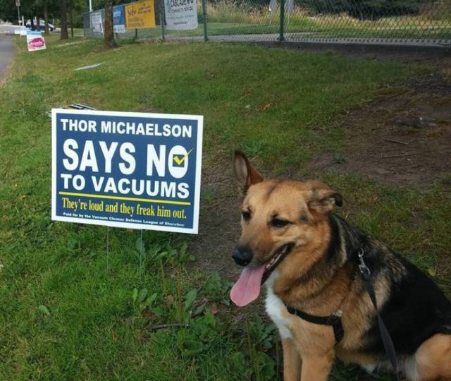 Daily Picdump