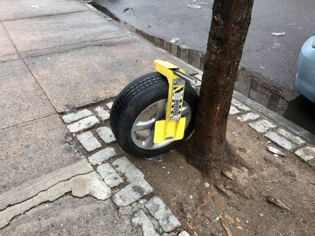 Content Image