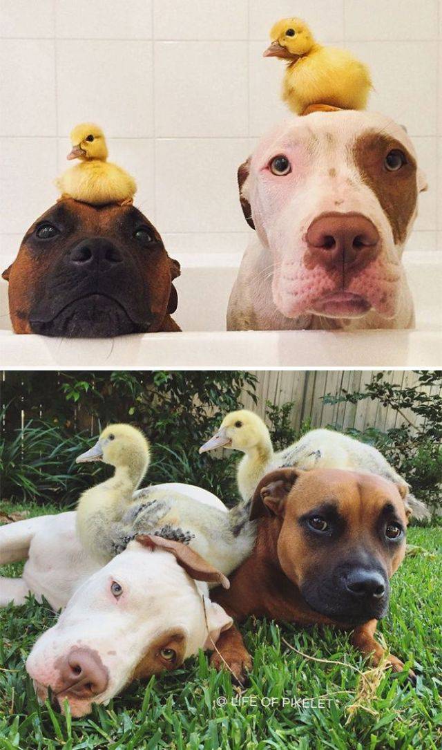 Daily Picdump