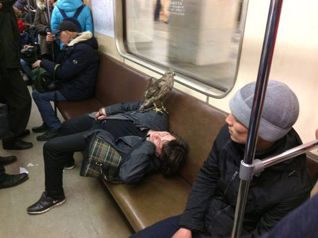 Morning Picdump