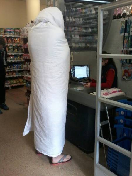 Morning Picdump