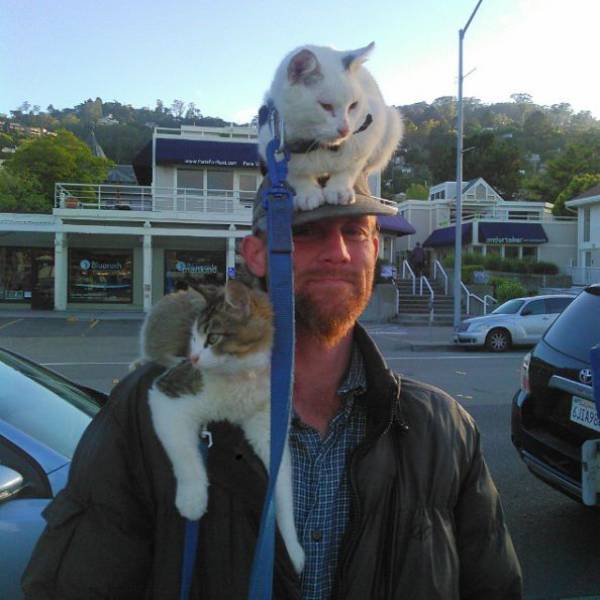 Daily Picdump