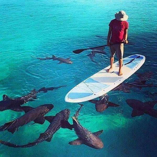 Daily Picdump