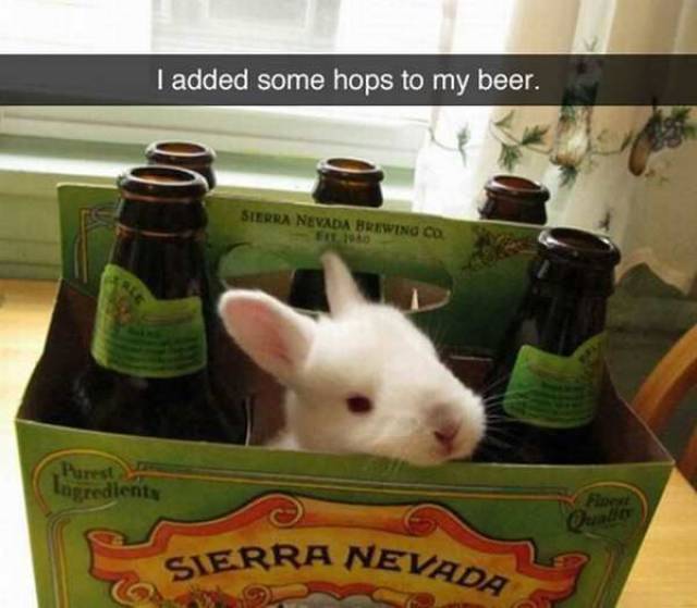 Daily Picdump