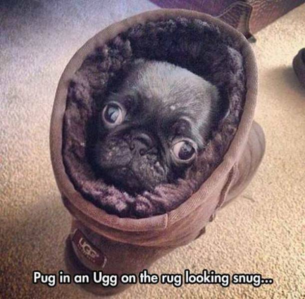 Funny Picdump