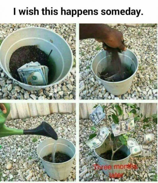 Funny Picdump