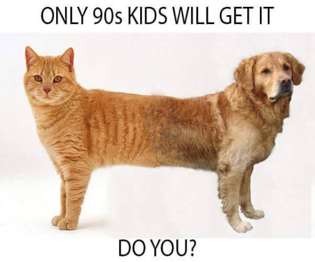 Funny Picdump