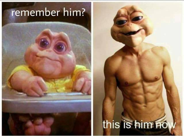 Content Image
