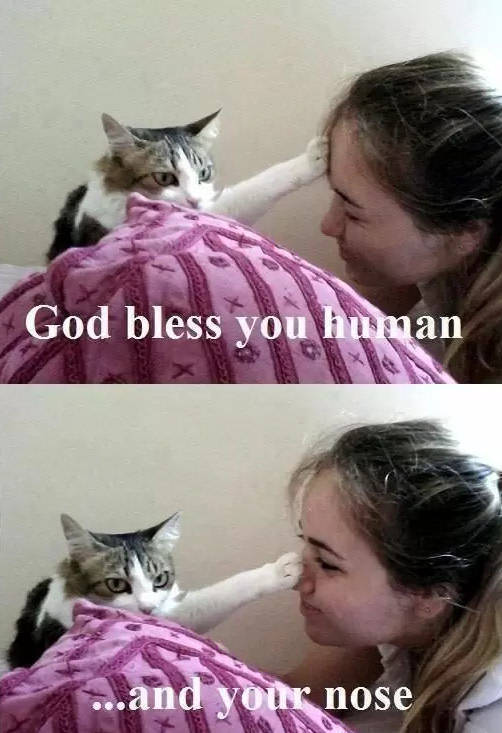Content Image