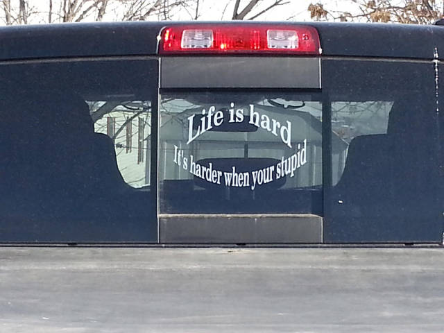 Morning Picdump