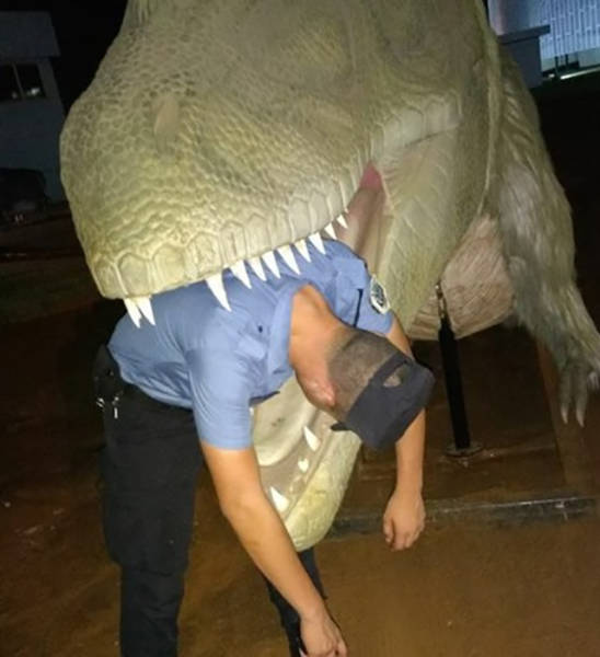 Content Image