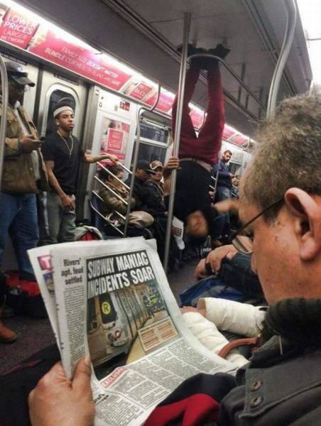 Daily Picdump