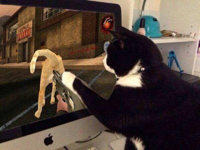 Daily Picdump
