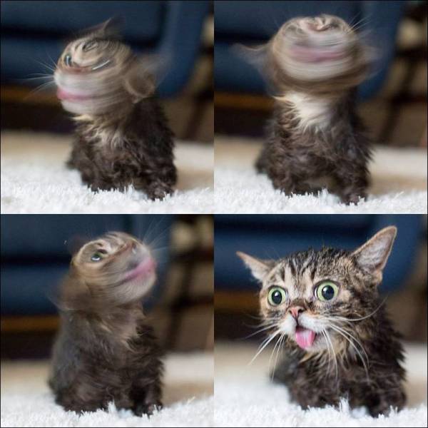 Content Image