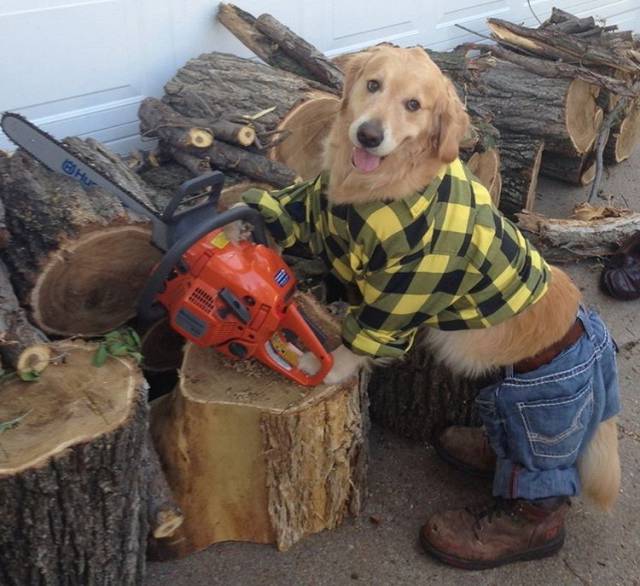 Morning Picdump