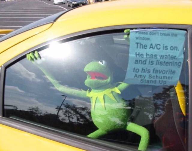 Daily Picdump [WEEKEND EDITION]