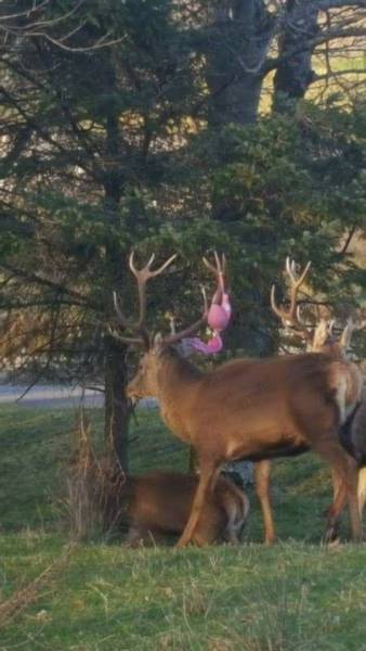 Daily Picdump [WEEKEND EDITION]