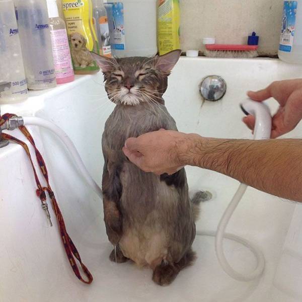 Daily Picdump [WEEKEND EDITION]
