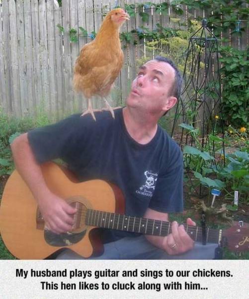 Content Image