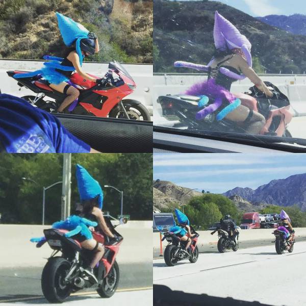 Content Image