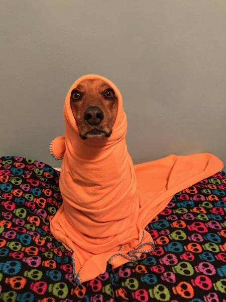 Morning Picdump
