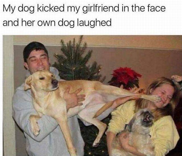 Content Image
