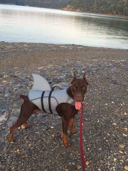 Morning Picdump