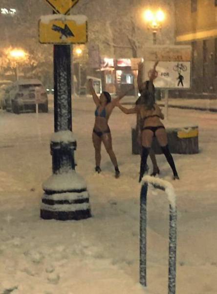 Daily Picdump