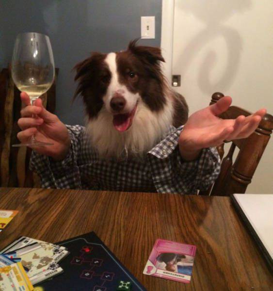 Daily Picdump