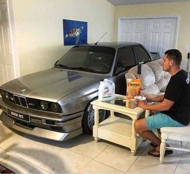 Daily Picdump