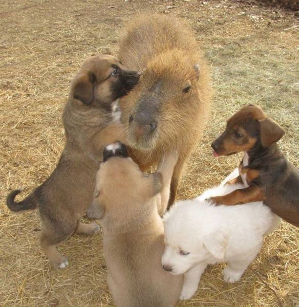 Daily Picdump