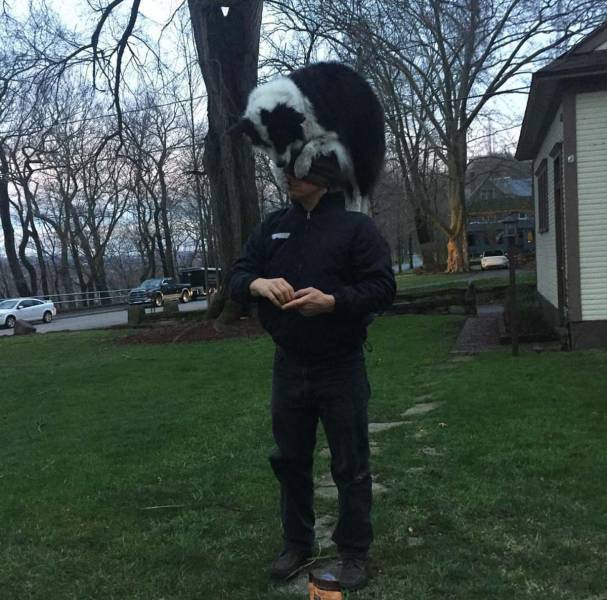Content Image