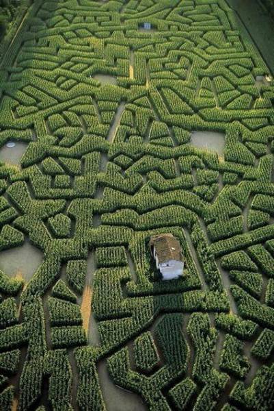 Daily Picdump [WEEKEND EDITION]