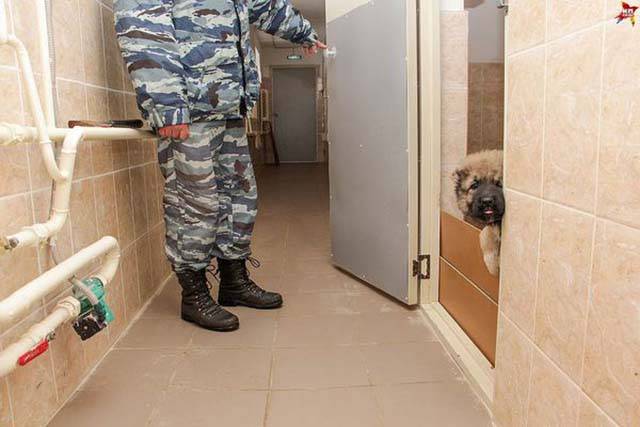 Daily Picdump [WEEKEND EDITION]