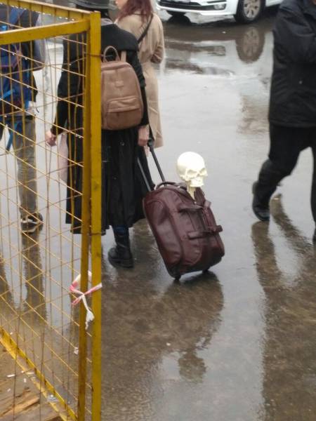 Daily Picdump [WEEKEND EDITION]