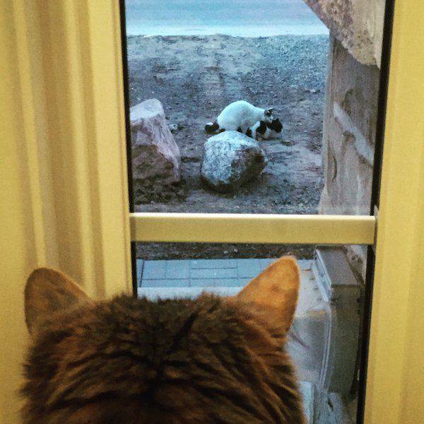 Daily Picdump