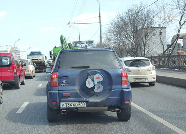 Morning Picdump
