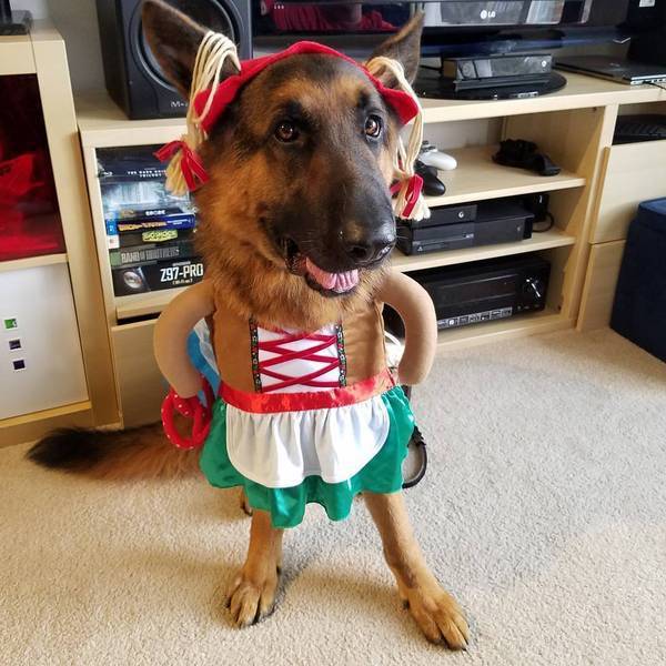 Morning Picdump
